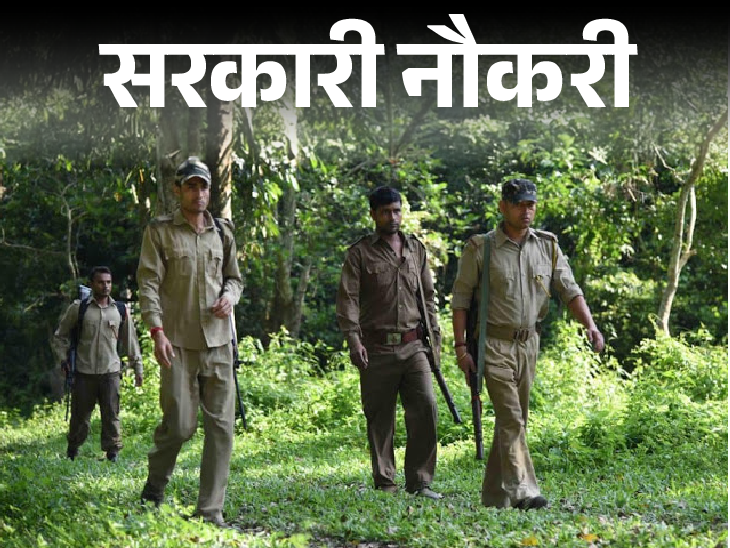 Recruitment of Forest Range Officer in Bihar; Opportunity for graduates, salary up to 1 lakh 12 thousand | सरकारी नौकरी: बिहार में फॉरेस्ट रेंज ऑफिसर की भर्ती; ग्रेजुएट्स को मौका, सैलरी 1 लाख 12 हजार तक
