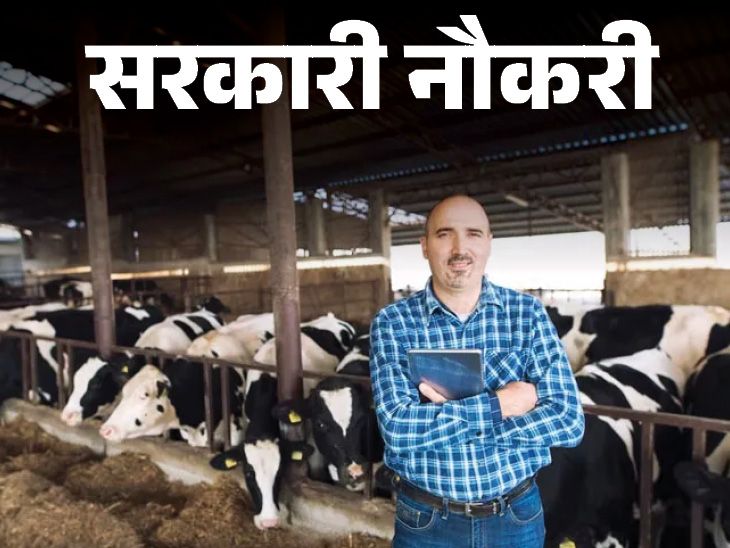 Maharashtra Public Service Commission has released recruitment for 3511 posts; Last date is 19 May, salary up to 1 lakh 82 thousand | सरकारी नौकरी: महाराष्ट्र लोक सेवा आयोग ने 3511 पदों पर निकाली भर्ती; लास्ट डेट 19 मई, सैलरी 1 लाख 82 हजार तक
