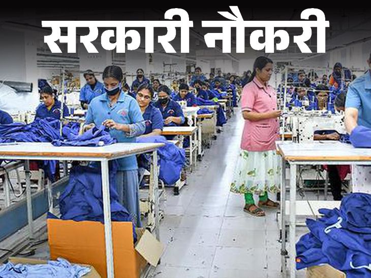 Recruitment for 147 posts in Cotton Corporation of India; Salary up to 1 lakh 20 thousand, selection through exam | सरकारी नौकरी: कॉटन कॉर्पोरेशन ऑफ इंडिया में 147 पदों पर निकली भर्ती; सैलरी 1लाख 20 हजार तक, एग्जाम से सिलेक्शन